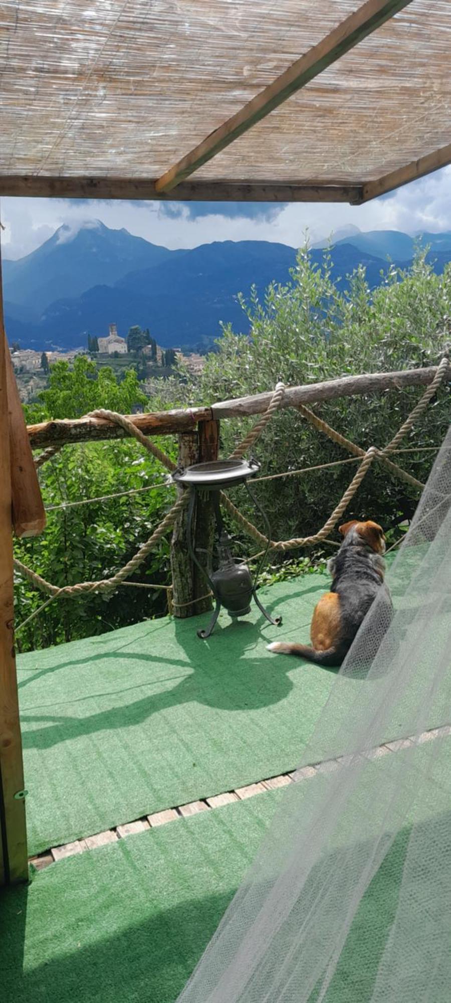 La Fatina Lodge Барга Экстерьер фото